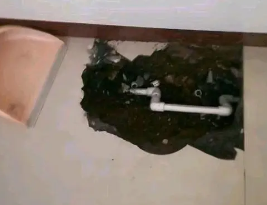 绥化市卫生间测漏水多少钱